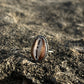 Hawaiian Cowrie Shell Ring RTS