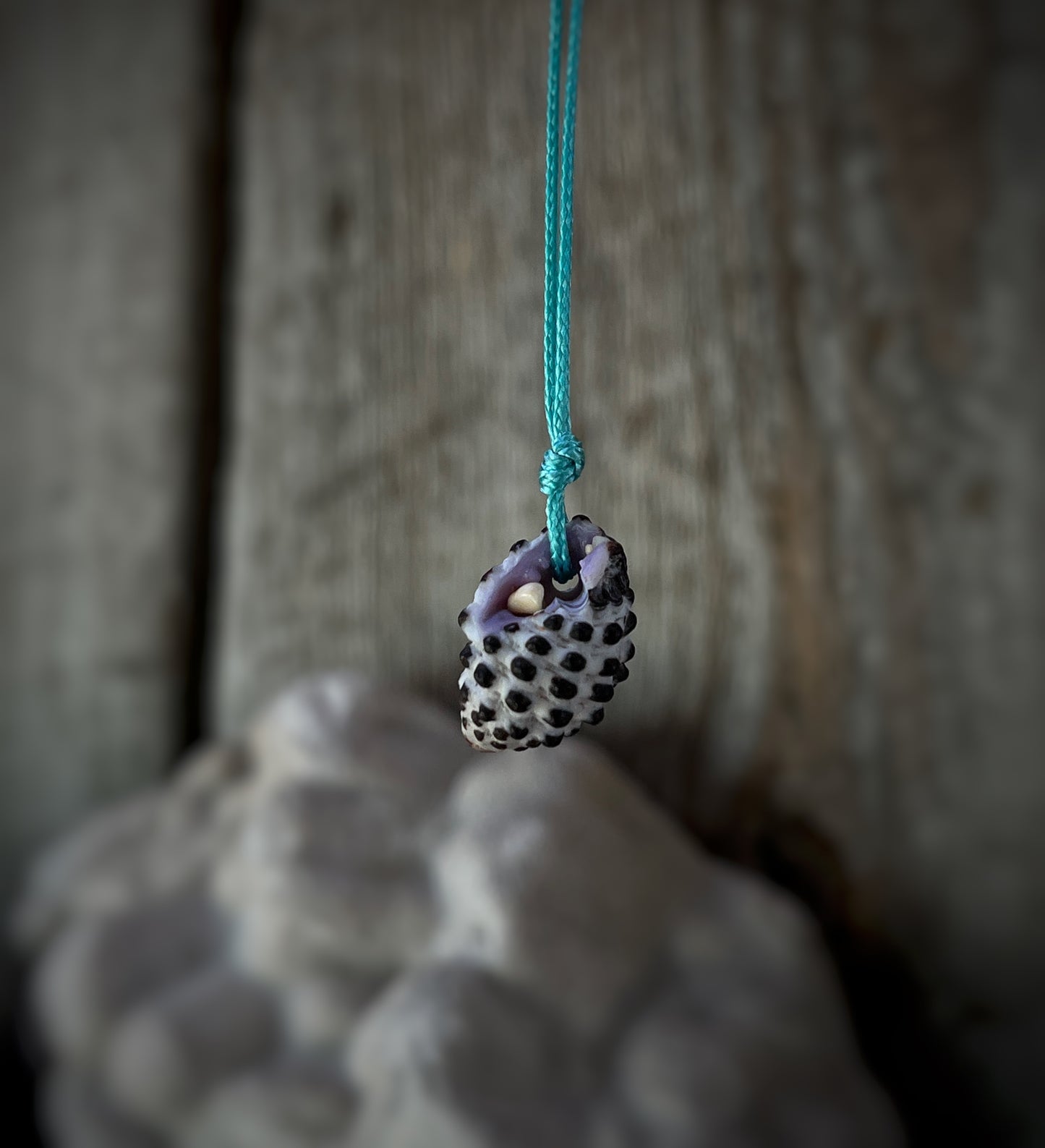Retro Hawaiian Seashell Necklace