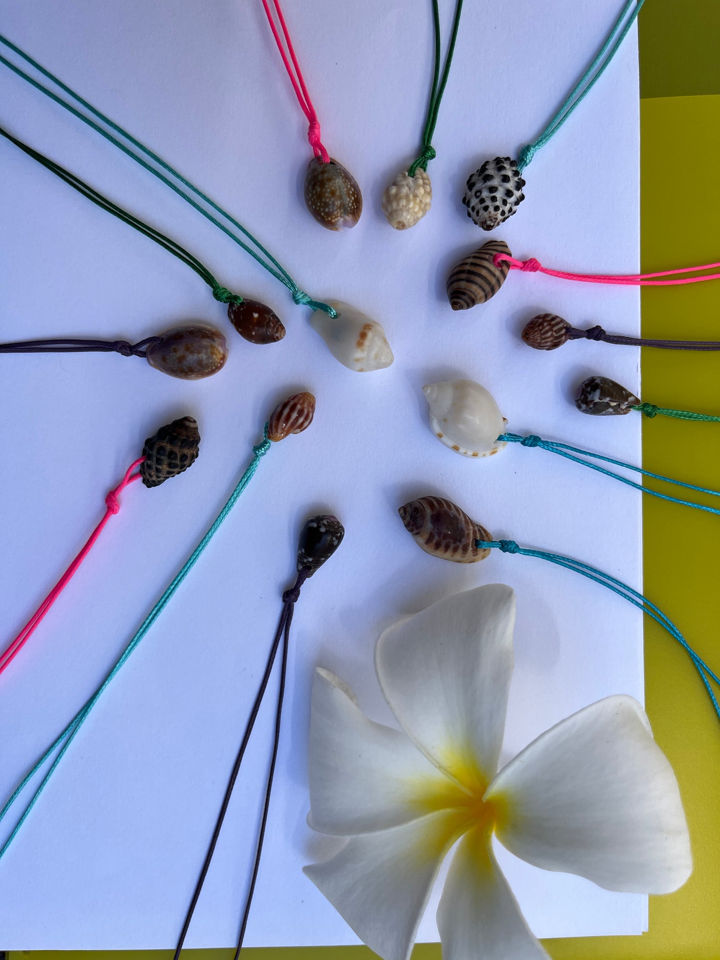 Retro Hawaiian Seashell Necklace