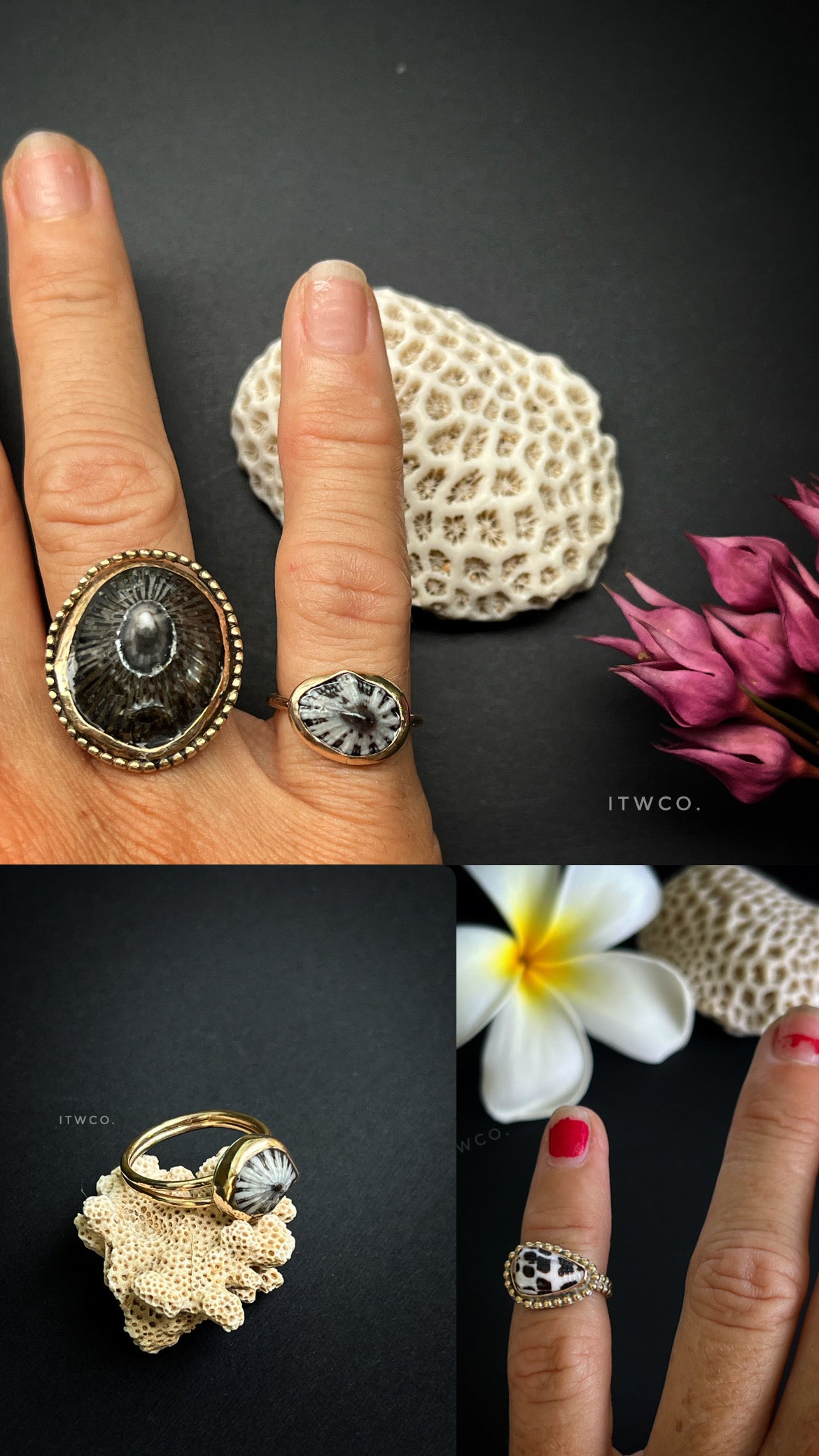 2-Piece Solo Lesson * BLACK FRIDAY SALE