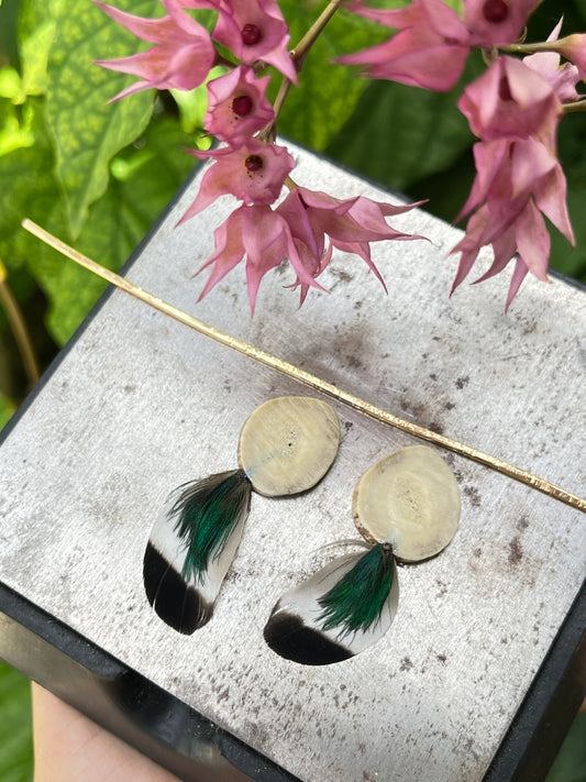 Covey Studs *rts