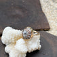 Hawaiian Opihi Shell Ring