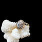 Hawaiian Opihi Shell Ring