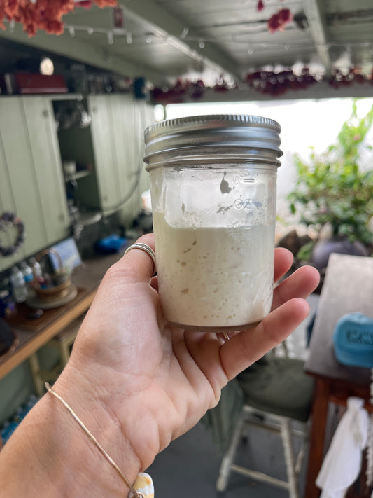 75 year old Shelly Sourdough Starter