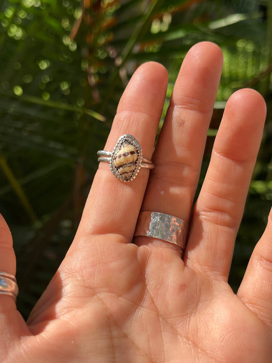 Baby Hawaiian Conch Shell Ring