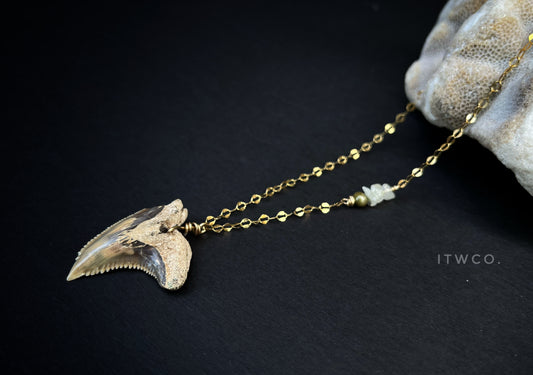 shark tooth x moonstone x pearl necklace
