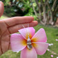 Hawaiian seashell necklace