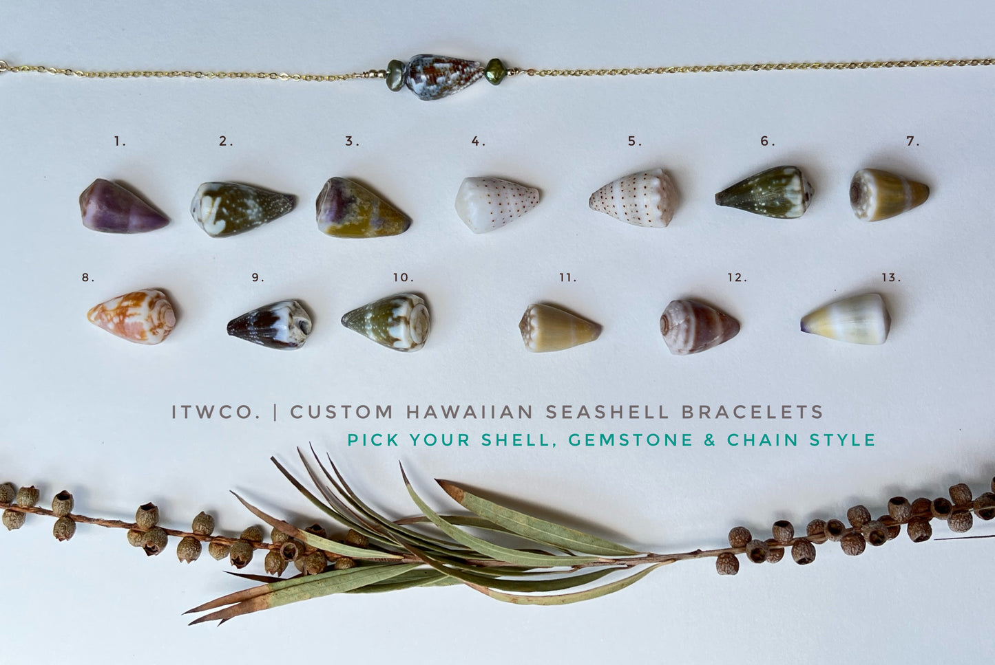 Hawaiian Cone Shell Bracelet ~ choose your shell