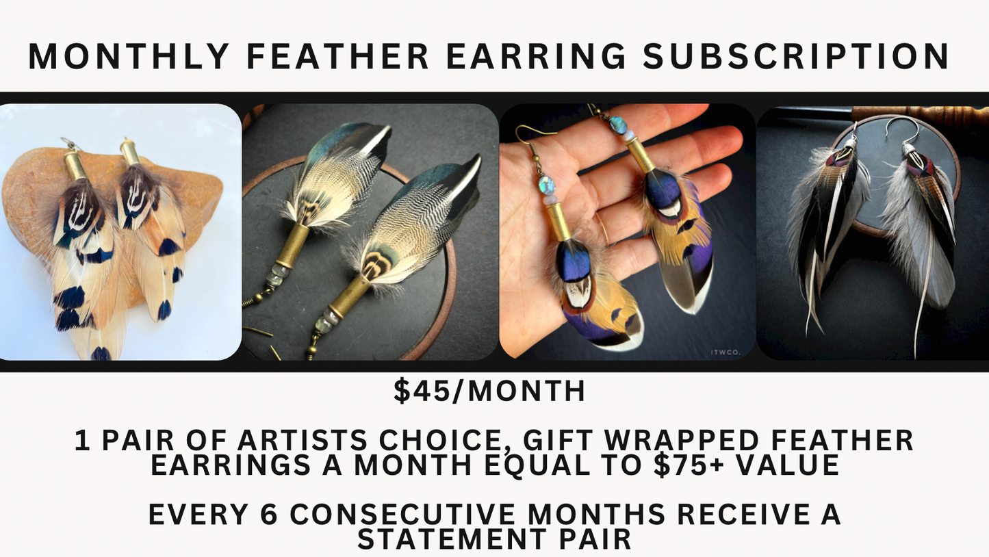 Monthly Feather Earring Subscription