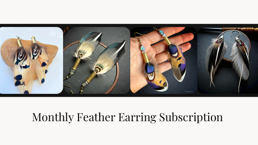 Monthly Feather Earring Subscription