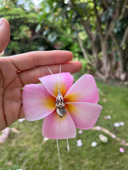 Hawaiian seashell necklace