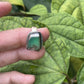 Chrysoprase Mixed Metal Ring