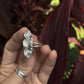 Coastal Christmas Statement Ring