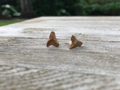 Sea Island Shark Tooth Earrings