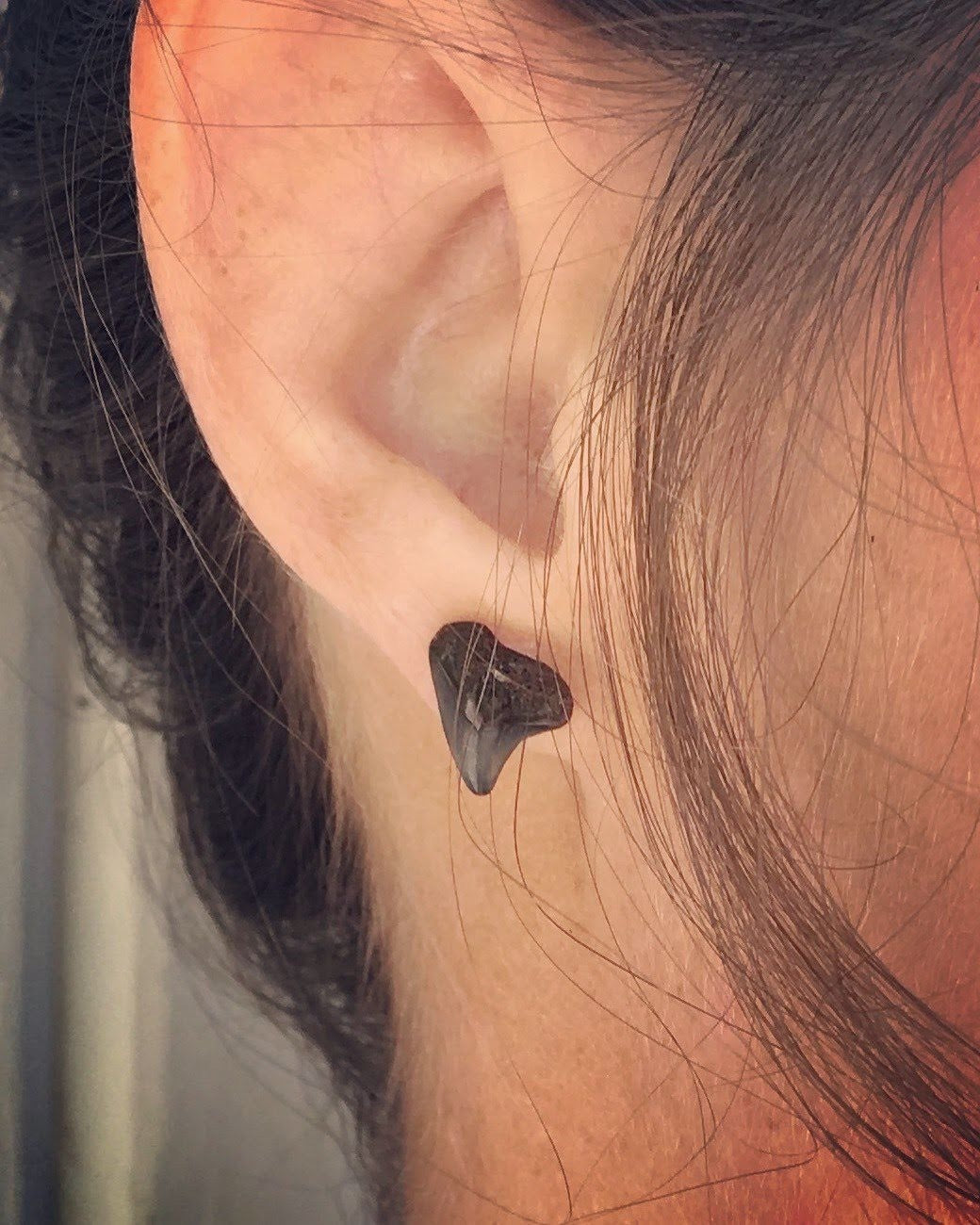 Sea Island Shark Tooth Earrings