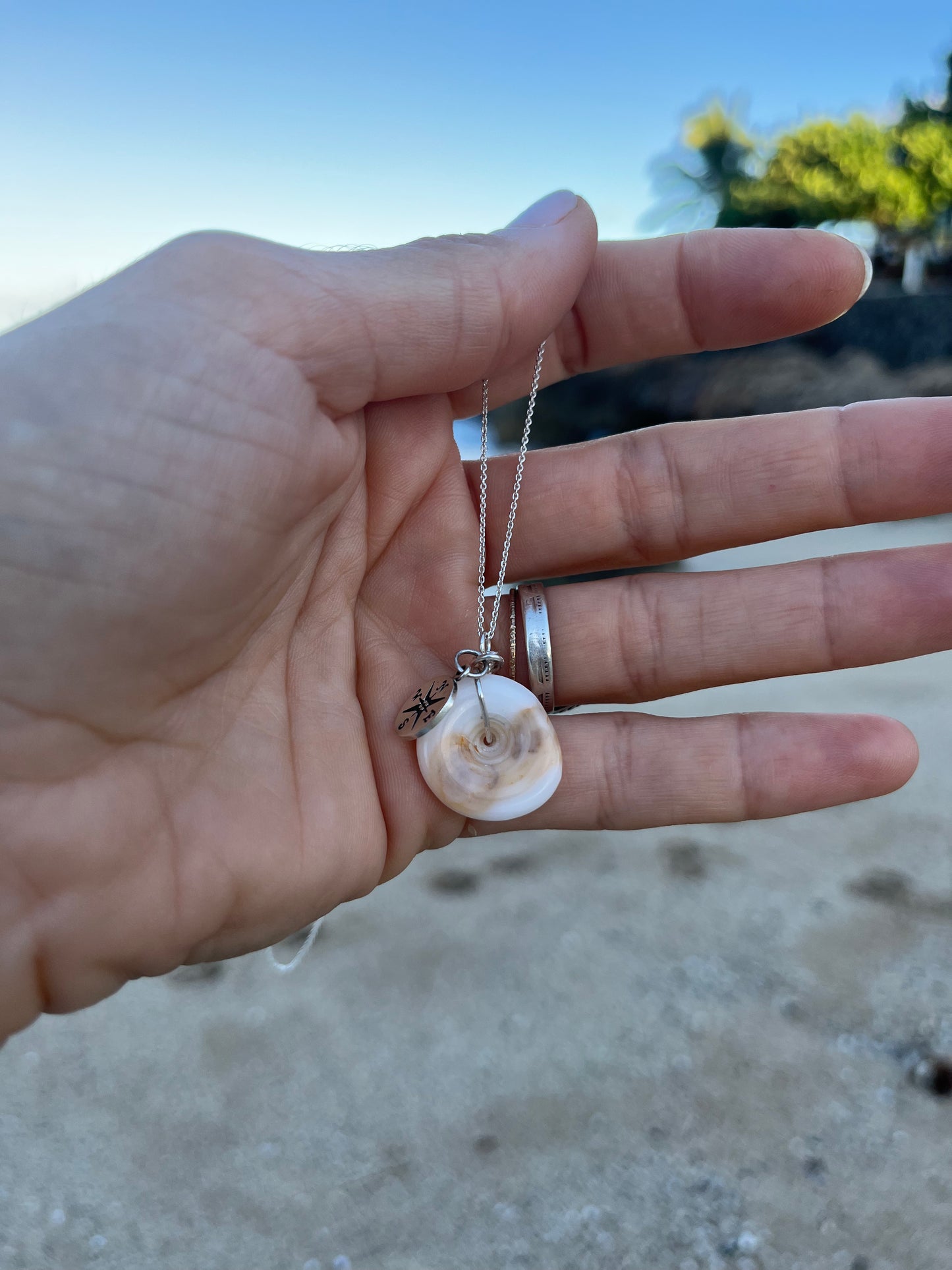 Puka Shell + Compass Rose Charm Necklace