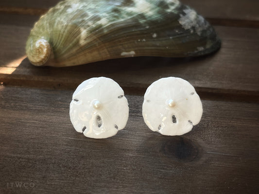 Sand Dollar + Pearl Studs ♢ rts