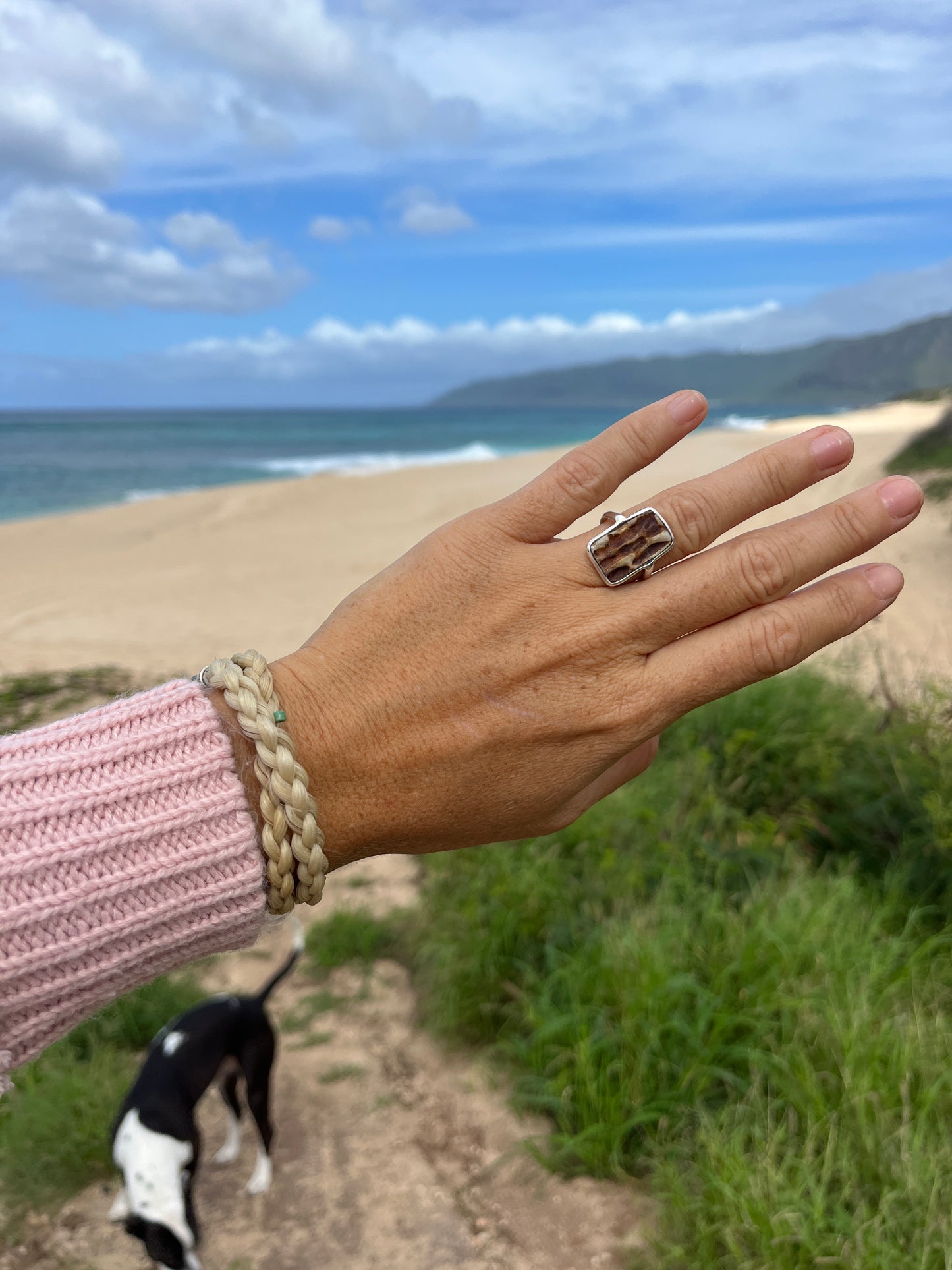 Hand Forged Antler Ring