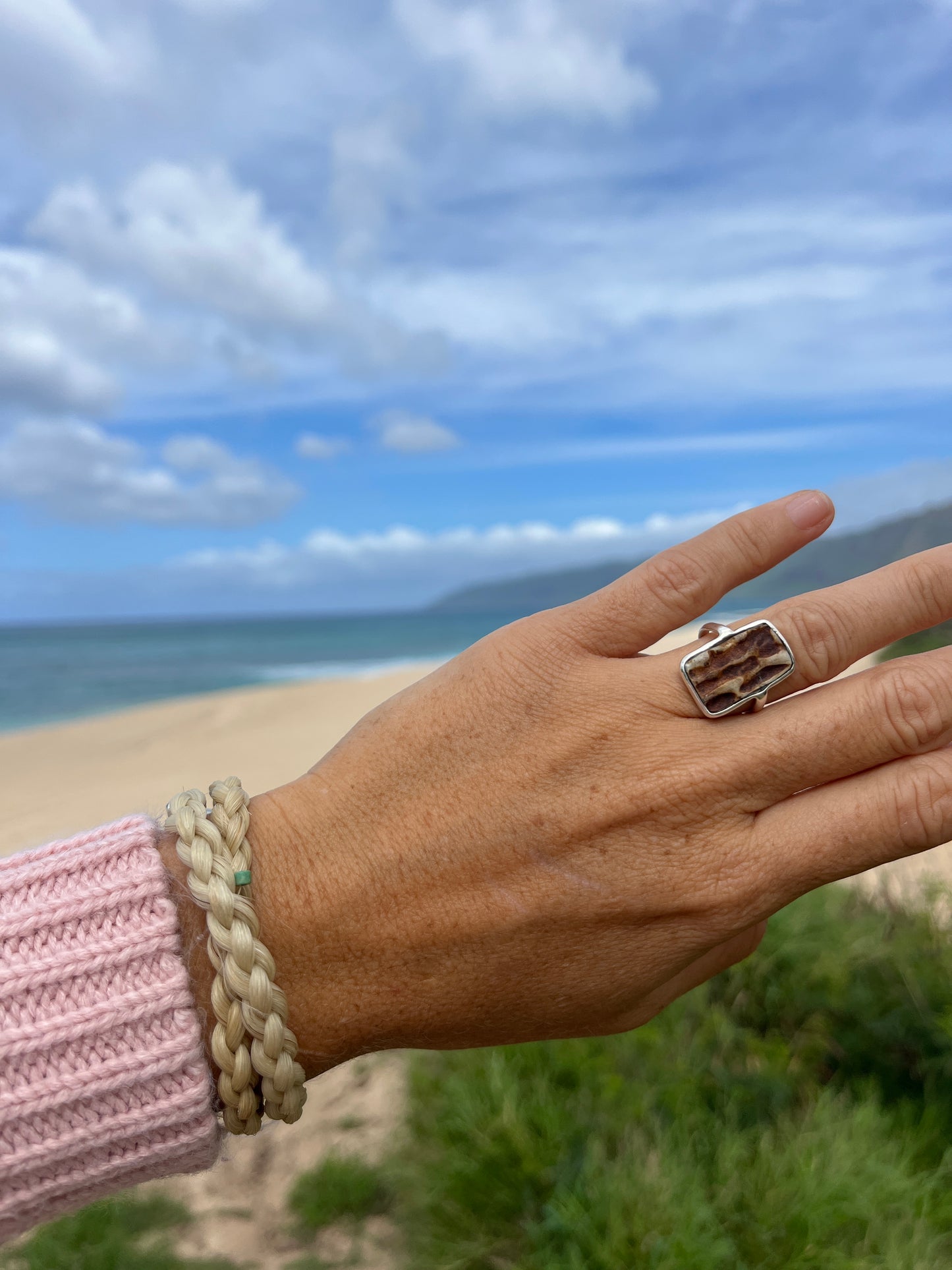 Hand Forged Antler Ring